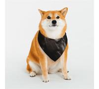 KHiry Bandanas triangulaires réglables en coton doux pour chien, cheval noir sur fond de roses rouges, écharpes pour chiots et chats pour petites et grandes races