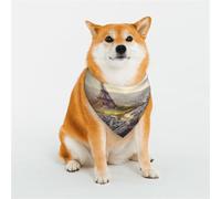 KHiry Bandanas triangulaires réglables en coton doux pour chiens et chats - Vue aérienne de Paris - Pour petites et grandes races