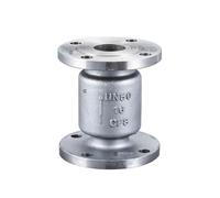 KHJZYFOLE Clapet Anti-Retour Vertical à Bride en Acier Inoxydable 304, clapet Anti-Retour unidirectionnel à Levage inversé, DN25-DN50 H42W-16P(DN50)