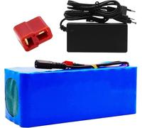 KHUKHU Batterie Lithium Haute Puissance 36 V for vélo électrique, 8 Ah, avec Chargeur, étanche, for Motos de 200 W à 800 W.(T Plug)