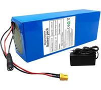KHUKHU Batterie Lithium-ION 52 V 45 Ah for vélo électrique avec Chargeur et BMS intégré(SM Plug)