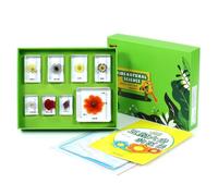 KiBcsLic Collection Spécimens en Résine Pédagogique Boîte D'observation D'insectes Transparent Matériel Éducatif pour Élèves, Enfants ole, Maison, Array, Fleurs Colorées