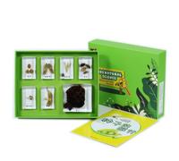 KiBcsLic Collection Spécimens en Résine Pédagogique Boîte D'observation D'insectes Transparent Matériel Éducatif pour Élèves, Enfants ole, Maison, Array, Voyage des Graines