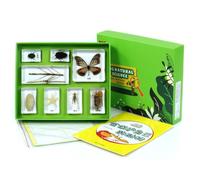 KiBcsLic Collection Spécimens en Résine Pédagogique Boîte D'observation D'insectes Transparent Matériel Éducatif pour Élèves, Enfants ole, Maison, Array, Animaux Qui Se Protègent