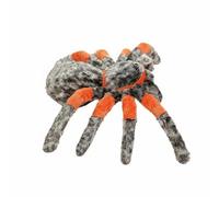 KiBcsLic Insecte Poupée Jouet Doudou Animal en Toucher Moelleux en PP Coton Réalisme Soigné Apprend la Nature, 25CM, Araignée