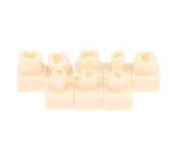 KiBcsLic Modèle de Dents En Résine, 8 Pièces, Outils Pédagogiques Pratiques pour L'enseignement et L'étude