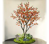 KIBONCY Arbre Artificiel en Pot de Kaki, Faux bonsaï de Fruits réalistes avec décor de Mousse et de Pierre, Fausse Branche réaliste, Verdure ornementale for la Maison, Le Balcon, Le café(5m)