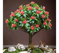 KIBONCY Artificial Red Blossom Bonsai Tree, Elegant Faux Oriental Landscape Fake with Moss & Decorative Rocks Base, Zen Decor for Cafe