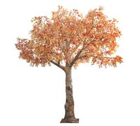 KIBONCY Bouleau coloré simulé, Espace de décoration et d'embellissement de Plantes simulées, Grand Arbre Artificiel, Plante Verte, Fleuriste sur Pied, Arbre Artificiel(2M)