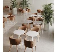 KIBONCY Ensembles de Table et de chaises minimalistes et décontractées, Ensemble de 4 chaises de Salle à Manger, Cadre en Bois Brut, idéal for Une Utilisation intérieure/extérieure(Brown,3pcs)