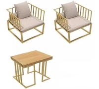 KIBONCY Nouveau canapé de Meubles en Fer de Style Chinois, Ensemble de Table et de chaises commerciales, Table de Meubles de réception et de négociation for Restaurant et hôtel(I)