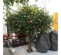 KIBONCY Oranger Artificiel, Arbre fruitier avec variétés d'orange, beauté Durable, décoration intérieure pour Salle à Manger, Assemblage Facile, sans Entretien(A)