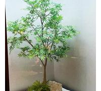KIBONCY Simulation d'érable Vert (Acer Palmatum) - Feuillage d'intérieur de Grande Taille for décoration intérieure(6.5mx5m)