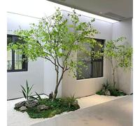 KIBONCY Simulation d'érable Vert (Acer Palmatum) - Grande Plante d'intérieur for la décoration intérieure et la Construction de fenêtres.(4mx3m)