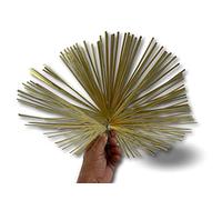 Kibros Hérisson acier plat carré 400×400 mm ramonage conduits embout M12 | Hérisson carré 400×400 mm, acier plat, embout fileté M12×1,75 mm, ramonage conduits non gainés cheminée chaudière.