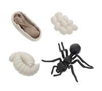 KICHOUSE 1 Ensemble Figurines Cycle de Vie des Fourmis Ouvrières Jouets Éducatifs pour Modèles Cognitifs Réalistes pour Apprentissage Scientifique