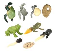 KICHOUSE 2 Ensembles Modèles Animaux Simulation Cycle de Vie Grenouille Tortue Enseignement Éducatif Jouets Garçon Fille Kit Compact Léger Portable