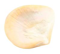 KICHOUSE Assiette à Dessert Multifonction en Coquille Naturelle 9 Cm Plateau Décoratif pour Apéritif, Plaque de Conservation des Aliments Ménagers, Assiette Alimentaire Unique pour Maison