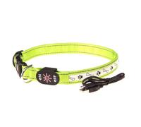 KICHOUSE Collier Lumineux LED Rechargeable Collier Réglable pour Chien en Nylon Vert Motifs Os et Empreinte en Toute Sécurité pour Promenades Nocturnes