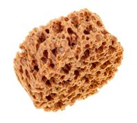 KICHOUSE Éponge de Mer Artistique Ergonomique pour Peinture Texturée Outil Polyvalent Réutilisable pour Artistes et Surfaces Multiples