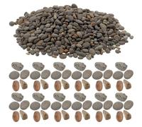 KICHOUSE Galets Naturels Décoratifs pour Aquarium et Diorama Pierres de Rivière pour Décoration de Mini Jardins Sable Décoratif pour Table de Paysage et Décor de Scène