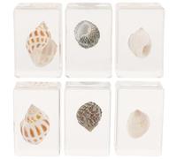 KICHOUSE Lot de 6 Spécimens de Résine Décoratifs D'animaux Marins pour Collection et Décoration Intérieure, Ornements Micro-paysages pour Bureau ou Exposition Style Plusieurs styles