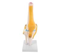 KICHOUSE Modèle Anatomique du Genou avec Ligaments Mobiles et Pièces | Pvc, Marquages Précis des Repères, Affichage de Bureau, Cours de Rééducation et Préparation aux Examens