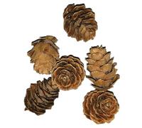 Kichvoe 50 Pommes de Pin Décoratives Naturelles 2,5-4 Cm Lot de 50 Accessoires Photo Réalistes pour Décoration Noël, Photobooth et Bricolage, Mini Pommes de Pin Séchées Réutilisables