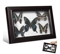 Kichvoe Cadre à Spécimens Muraux en Bois avec Couverture Transparente, Ornement de Bureau Diy, Format A7 Compact, Spécimen D'insecte pour Décoration Murale Artistique et Présent