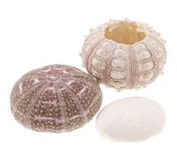 Kichvoe Décoration Oursin Lot de 3 Coquillages pour Plantes Aériennes et Terrariums, Ornements Naturels pour Intérieur et Étagère Plantes
