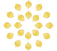 Kichvoe Lot de 100 Ballons en Latex à Queue 10 Pouces Couleur Or Ballons Décoratifs pour Mariage Fête Anniversaire Accessoires Photo pour Guirlandes et Décorations Festives