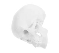 Kichvoe Modèle Anatomique de Tête de Crâne Humain Blanc Mini, Plastique Solide Calotte Crânienne Amovible et Mâchoire Flexible, Décoration et Outil Éducatif pour Étudiants en Anatomie