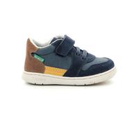 KICKERS Baskets basses Kickbuvar Marine noir camel 19