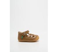 kickers chaussures garçon de couleur marron 19