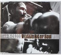 Kid Loco - A Little Bit of Soul [Import]