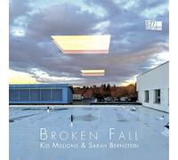Broken Fall/Code de Telechargement Inclus