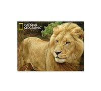 Kidicraft National Geographic Super 3D Carte Postale, Lion d'Afrique
