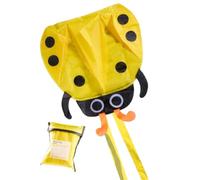 Kids Kite | Ladybug Outdoor Beach Activity | Flying Kite | for Outd