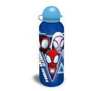 KIDS EUROSWAN, S.L. Gourde en aluminium Spidey 500 ml + Appareil à croque-monsieur