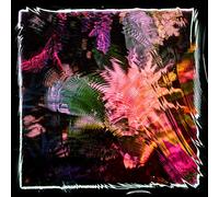 Kids Talk Sun - Vinyles