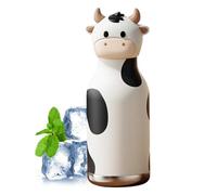 Kids Water Bottle - Stainless Steel 480ml Insulated Flask