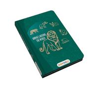 Tablette à dessin Kidydraw mini vert sapin TU