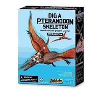 KidzLabs | Creusez Un Squelette de ptéranodon | Résurrectez Un Squelette d'un Dinosaure | Creusez et découvrez Les os du Squelette | pour Les Enfants à partir de 8 Ans