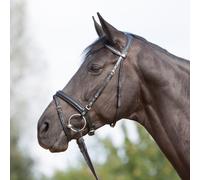 Kieffer Bridle Ultrasoft - Noir - Bridle Pour Cheval De Sang Chaud