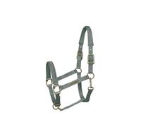 Kieffer Licou en Nylon Mis Évidence - Halter Stable Satin Shine ,Mint -