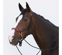 Kieffer Nœud De Licol Ruby - Noir/Bourgogne - Licol Pour Chevaux De Sang Chaud