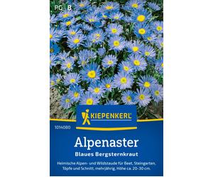 Kiepenkerl Aster des Alpes Bleu des Montagnes - 1 sachet