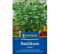 Kiepenkerl Basilic Citron - 1 sachet