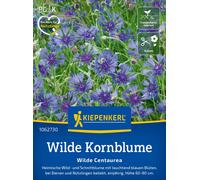 Kiepenkerl Bleuet Sauvage - 1 sachet