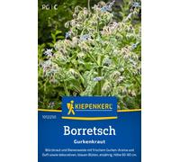 Kiepenkerl Bourrache - 1 sachet